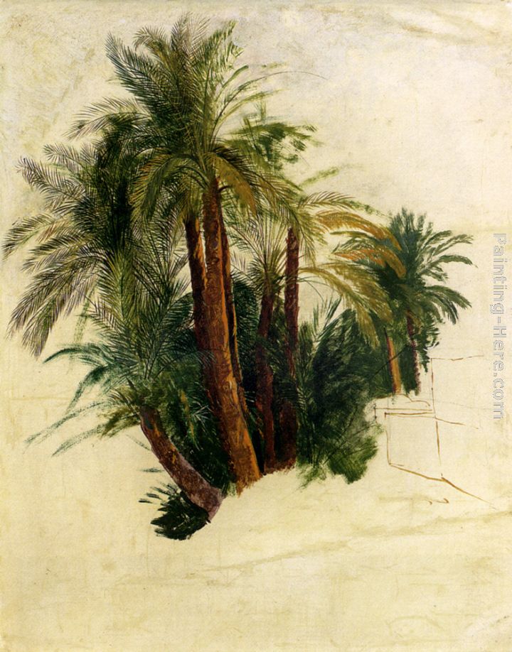 Study Of Palm Trees painting - Edward Lear Study Of Palm Trees art painting